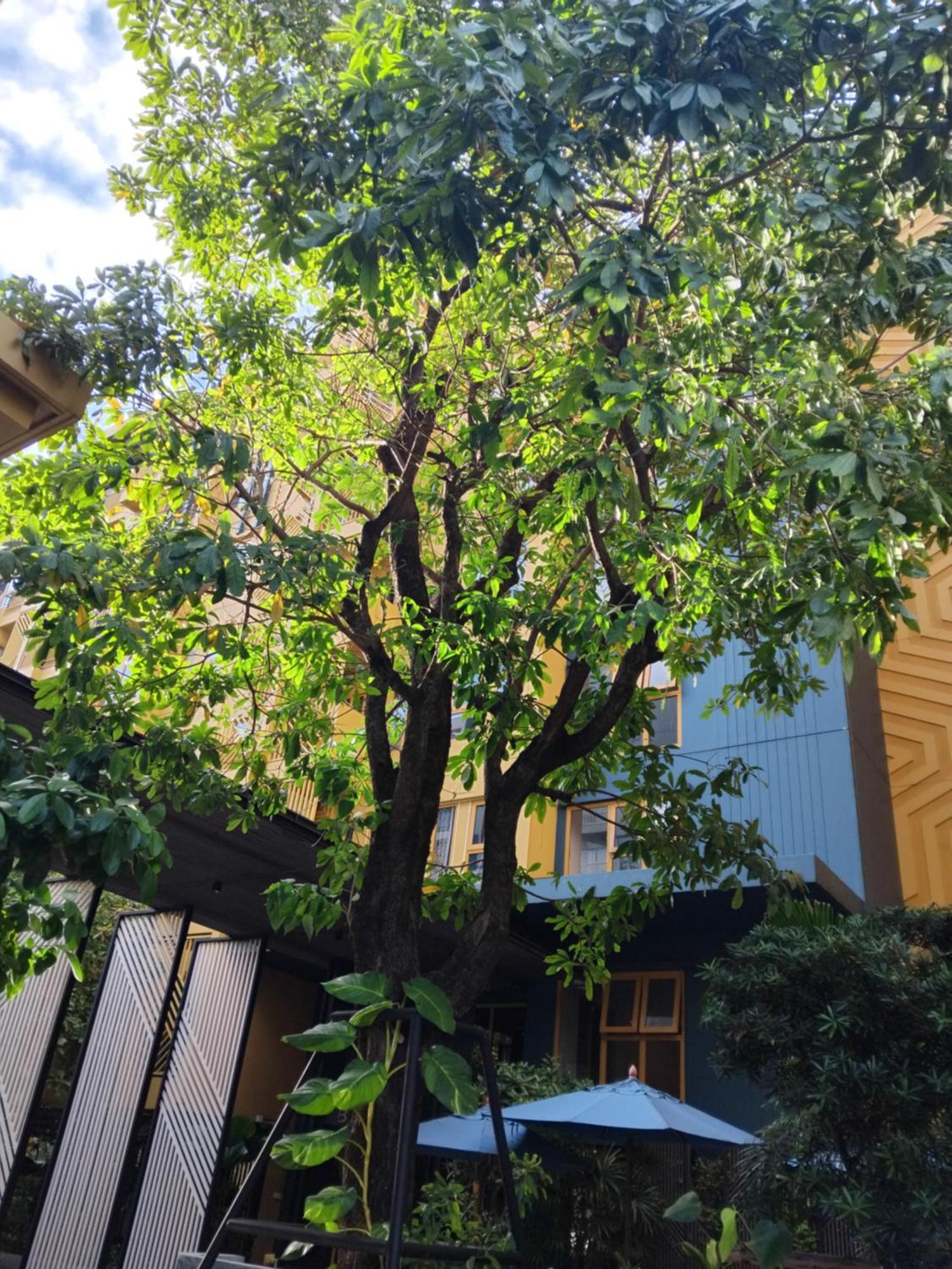 방콕 Brissluxe At Bts Onnut Sukumvit 50 아파트 외부 사진